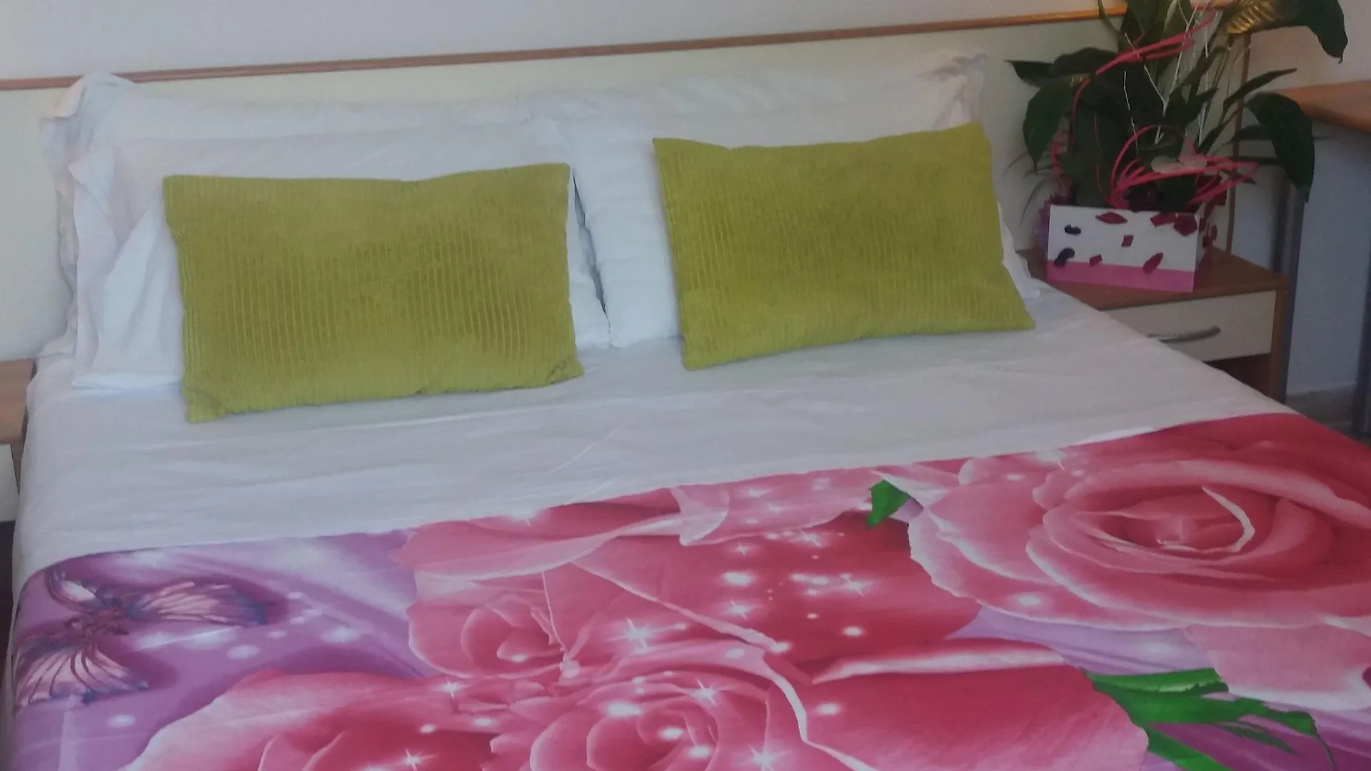 Hotel Zurigo Rimini